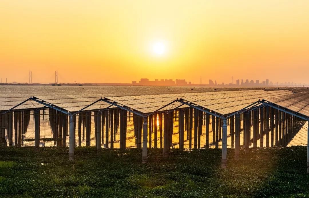 Beyond Success - www.taiyangcheng.com Achieved a Preferred Scale of 1120 MW in Jiangxi